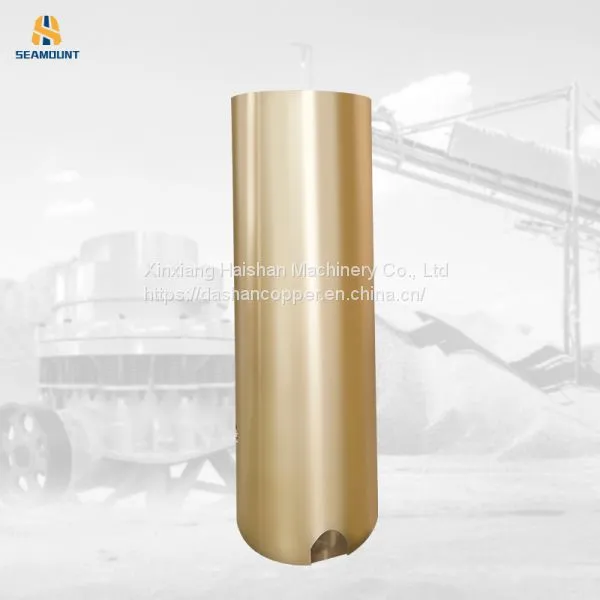 Large Diameter Shaft Bearings for Electric Motors for Pump Machinery