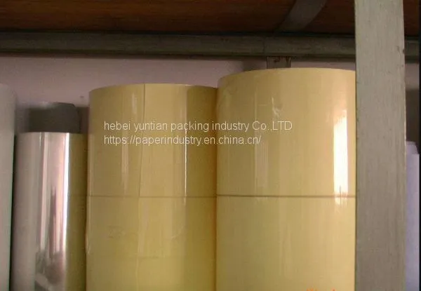 Pet Pvc Cosmetic Packing Sticker Label, Waterproof Adhesive Skin Care Label Printing Roll Sticker photo-3