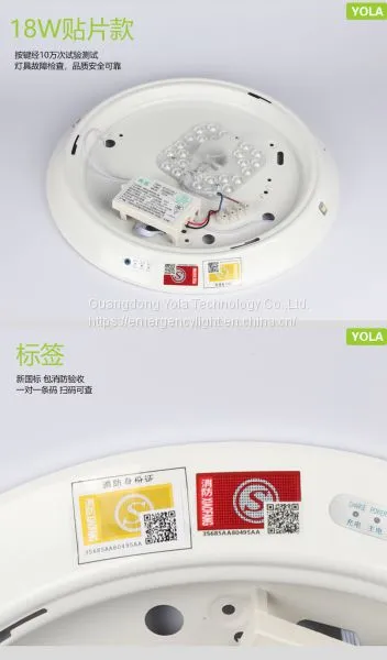New Design Cheap Price Led Mount Lighting Ceiling Lamp photo-3