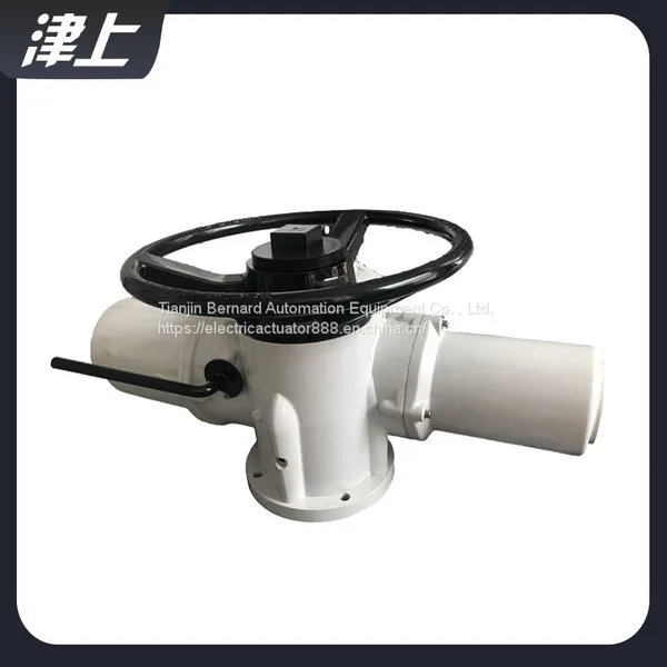 Rotary Electric Actuator IQC20 Solar Control photo-5