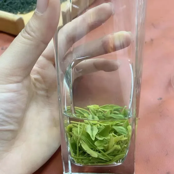 The Supply of China's Advanced Green Tea, Enshi Natural Selenium, Selenium Rich Tea, Health Tea, From the East of a Uniq photo-4