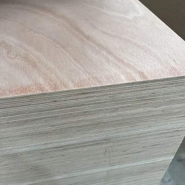Full Eucalyptus Continuous Core Ultra-Flat Double-Optimized Multi-layer Plywood photo-3
