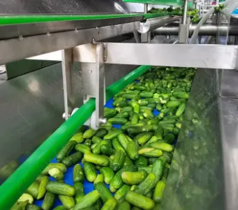 Professional Full Automatic Canned Pickles Vegetables Cucumber Production Line photo-4