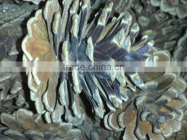Christmas Tree Decoration Pine Cone photo-4