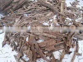 Oud/Oudh/Agarwood/Oud Oil Agar Wood