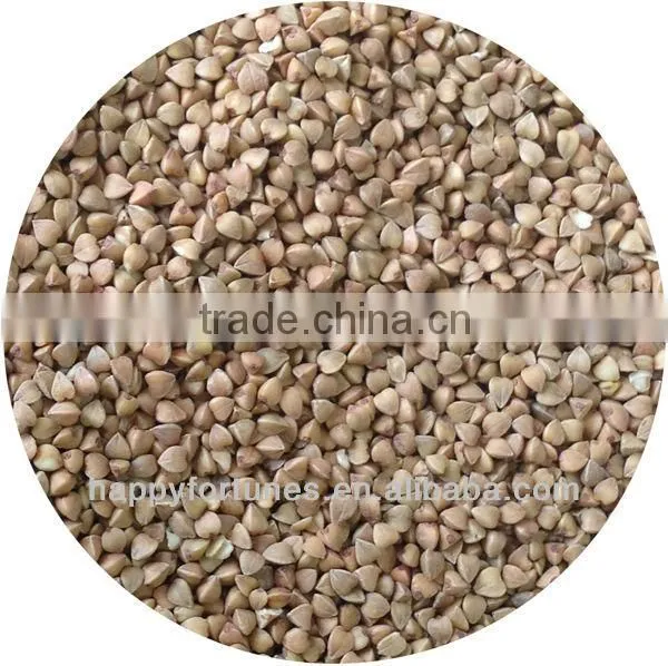 Roasted Buckwheat Kernels ,Kasha.Roasted Buckwheat Groats