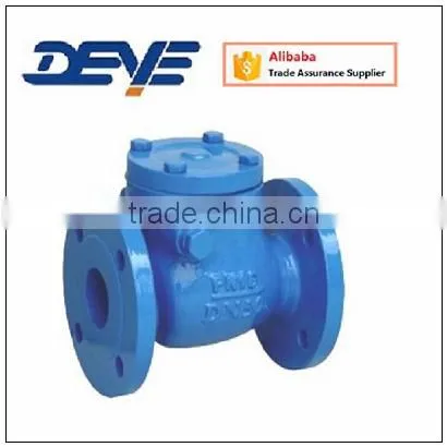 Iron Material Metal Seat DIN 3202 F6 PN10 PN16 Swing Check Valve Hydraulic photo-2