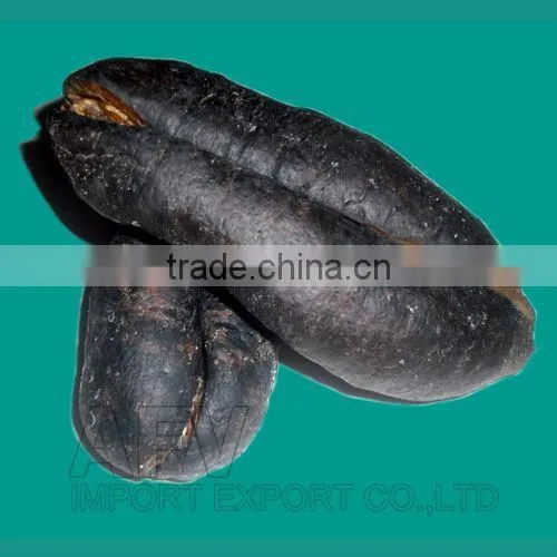 Sea Cucumber Vietnam, Pomegranate Fish, Actinopyga Lecanora photo-3