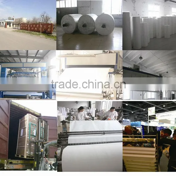 Water Resistant Polyester SELLING CANVAS FOR PRINTING photo-2