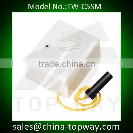 Recordable Sound Box With Motion Sensor photo-2