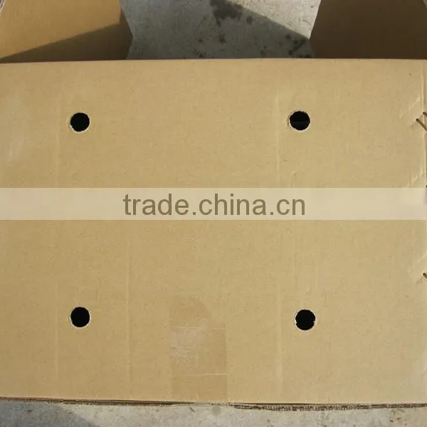Cassia Whole Pressed With 10% Broken in Good Price photo-2