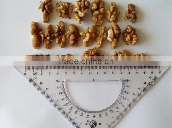 Supply Walnut Kernel, Walnut in Shell With High Quality photo-6