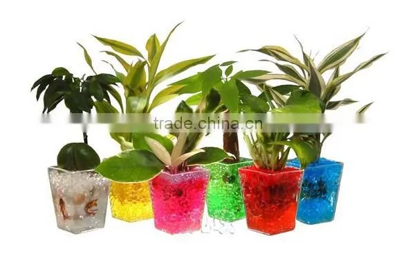 Garden Decoration Magic Water Beads for Lucky Bamboo photo-5