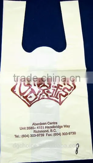 Hot Personal T-shirt Printing Bag for Sale photo-3