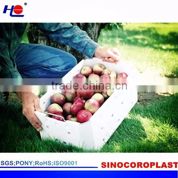 Plastic Cartonplast Box photo-3