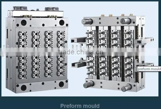 PET Preform Mould