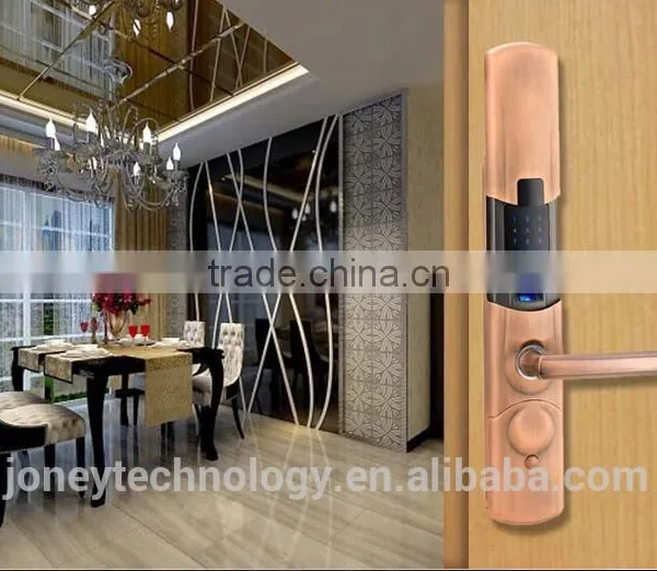 Remote Control Fingerprint Passwords Electric Door Lock photo-4