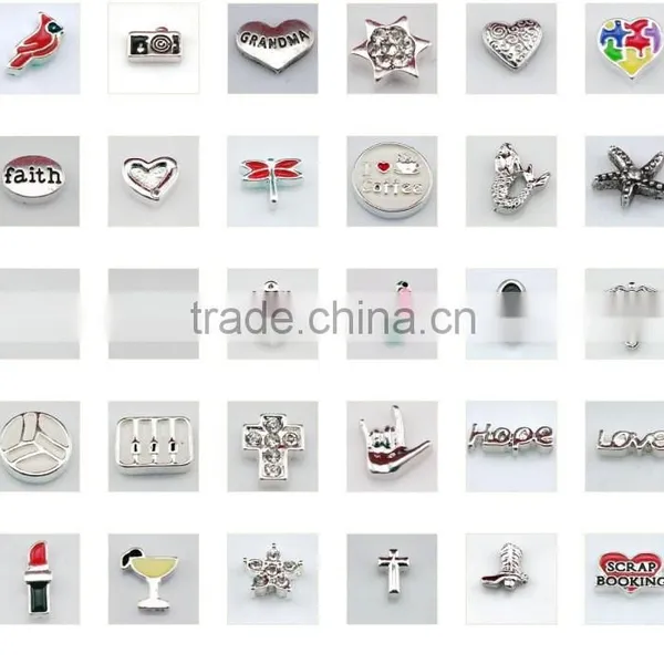 2015 New Arrival Locket Hot Sale Floating Charm Locket photo-3