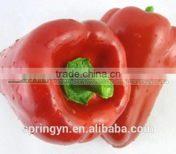 Orange Red Capsicum Yellow Capsicum photo-4