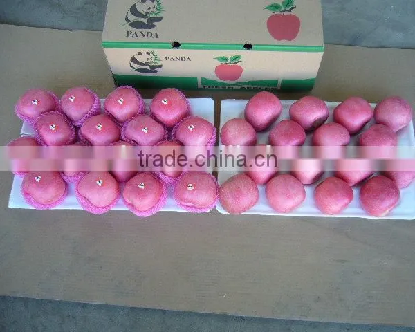 Apple Fuji From Yantai Shandong China