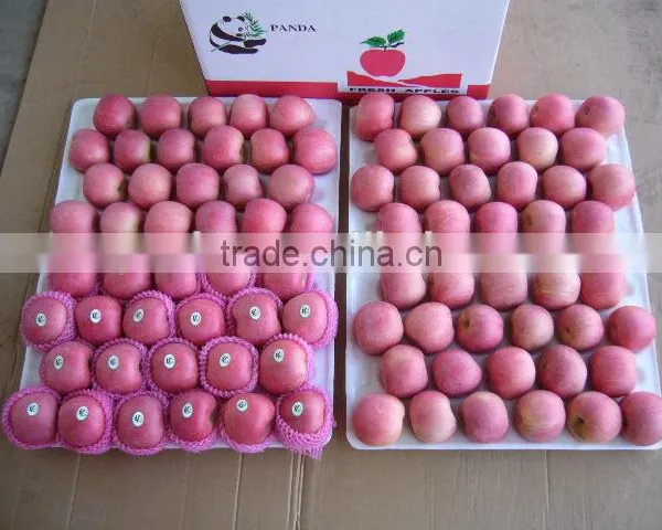China Yantai Best Price Fuji Apple photo-2