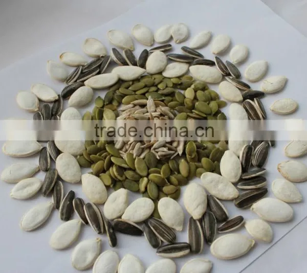 Wholesale Delicious Sunflower Seeds photo-4