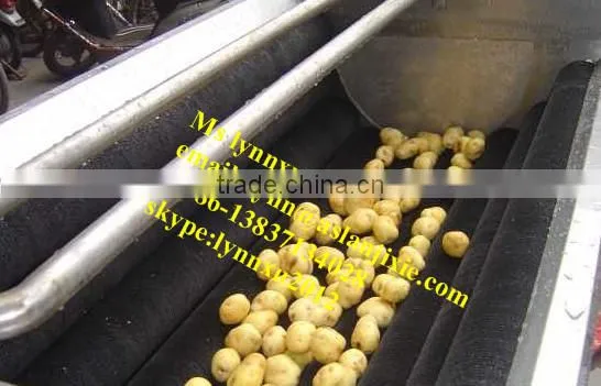 Potato Peeling Machine /industrial Potato Washer photo-2