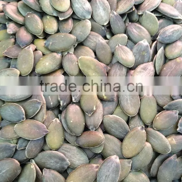 China Pumpkin Seeds GWS Grade AA photo-4