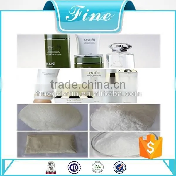 Cosmetic Raw Material Hydrolyzed Collagen/protein Powder Bulk photo-3