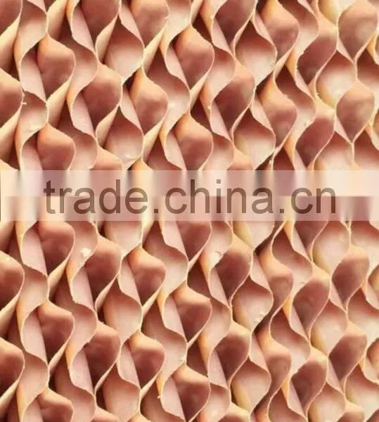 Evaporative Cooling Pad for Poultry Farm/greenhouse Cooling Pad photo-4