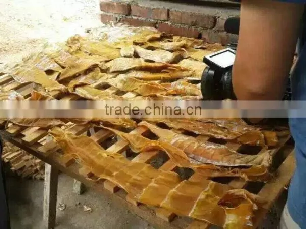 Electric Heat Fish Drying Machine With Factory Price photo-2