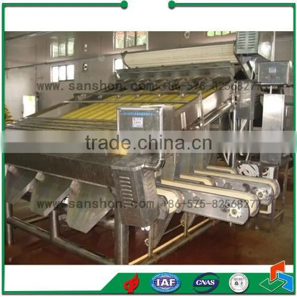 Seafood Processing Shrimp Grading Machine photo-3