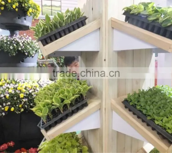 32 Cell Polystyrene Plug Tray Plastic in Agriculture photo-2