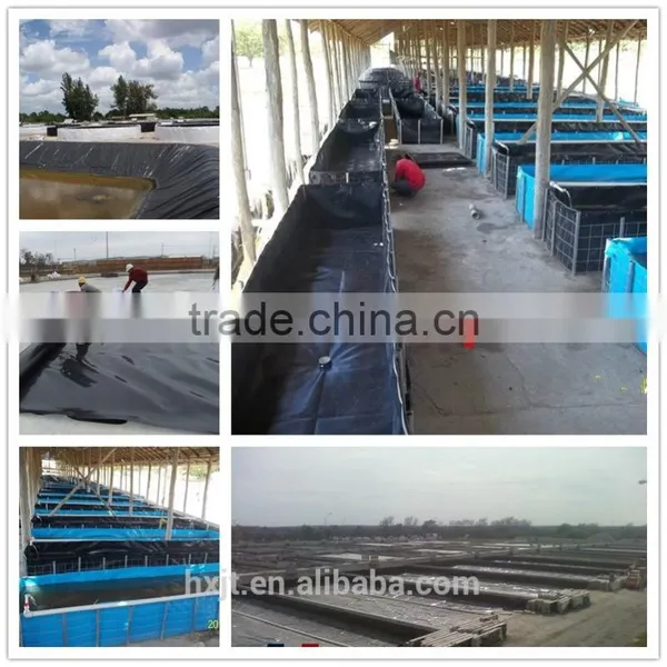 HDPE Black Rolls Antiseepage Geomembrane photo-3