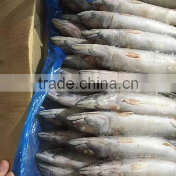 Landfrozen Mackerel 150-200g photo-4