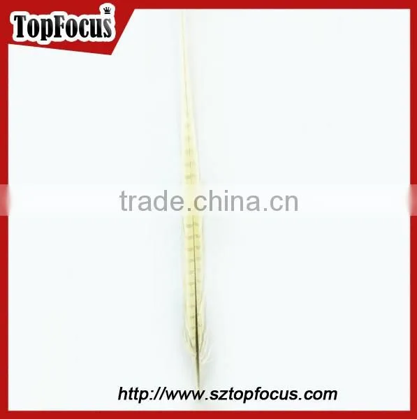 50-55cm Assorted Color Dyed Pheasant Tail Feathers photo-3