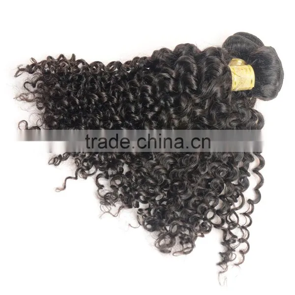 Fast Delivery Online Shop 100% Unprocessed Wholesale Tangle Free No Shedding Curly Raw Virgin Indian Hair photo-6