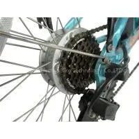 Wholesale 20 Cheap Folding Electrica Bicicleta 250w 36v 9ah From China Manufacturer photo-3