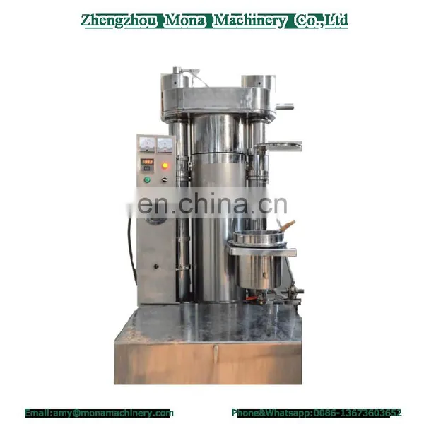 Top Quality Sesame Seed Sea Buckthorn Cold Press Oil Machine for Sale