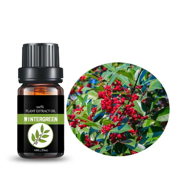 Wintergreen Oil Holly Oil Aromatherapy Essential Oil photo-5