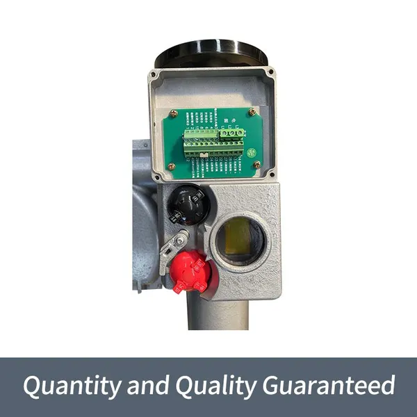 Bernard Intelligent High-power B+RS1000/F105Z Angle Travel Electric Actuator photo-5