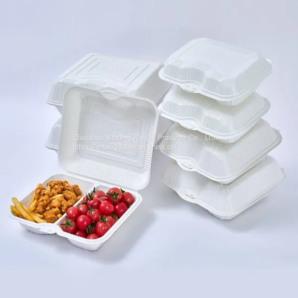 Customize PP Hinged Packaging Tray Clamshell Blister Food Container Togo 2 Compartment Fast Food Lunch Food Box photo-4