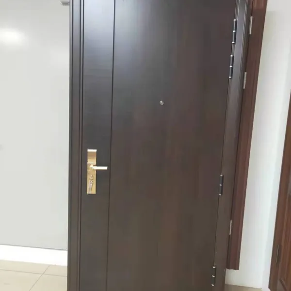 Steel Entrance Door photo-2