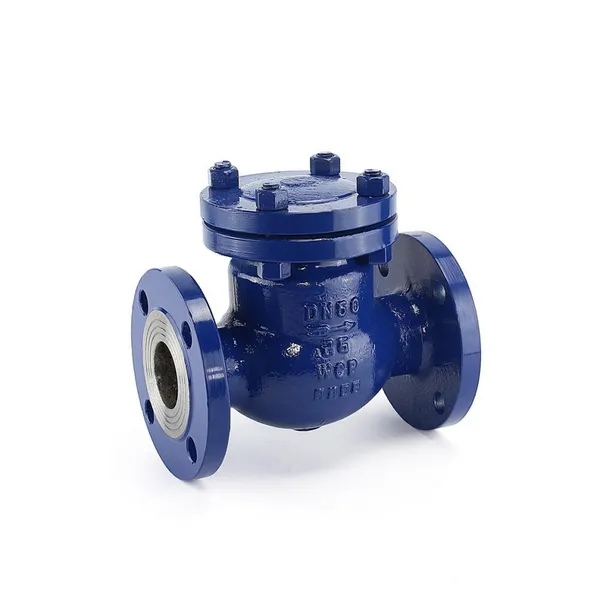 Check Valve