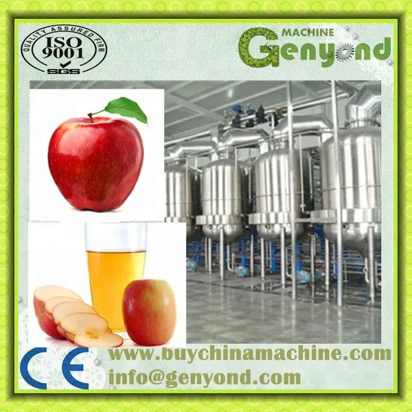 Easy Operation Food Industry Fruit Juice Production Line photo-4