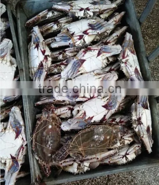 Foods of Crab photo-2