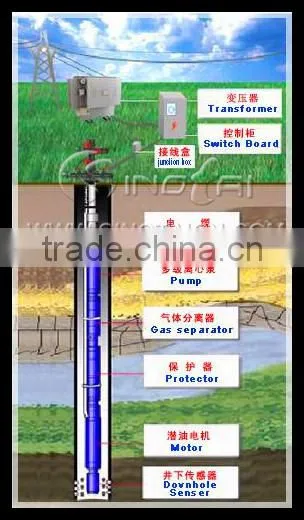 Electric Submersible Pump System