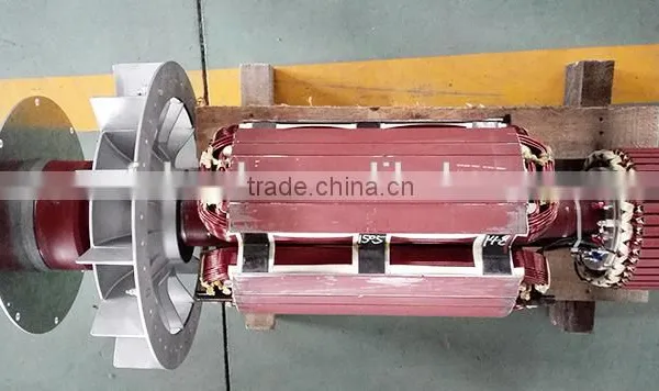 15kva ac Generator for Asembly With Diesel Engines/15kw Brushless Synchronous ac Alternator photo-5