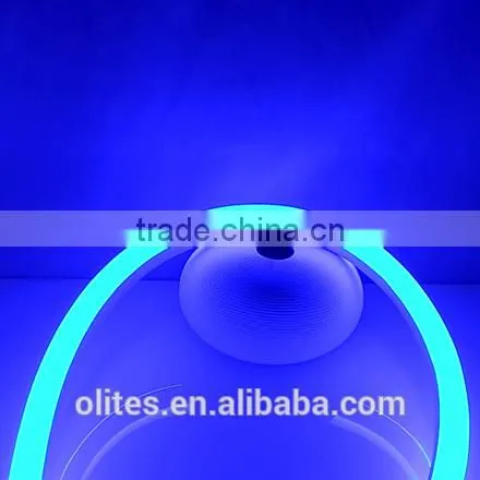 2016 New Product Blue Emitting Color IP68 Flexible LED Night Light for Outdoor Decoration