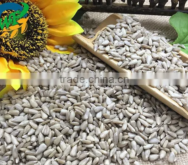 2015 2016 Roasted Salted Snack Chinese Sunflower Seed Kernel Small Packing 5009/3638/0409/363 photo-2